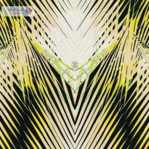 Roberto Cavalli Rc17002 Itallian Wallpaper 10 Meter Square