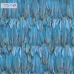 Tropicano 9913 3 15m × 106m Multi Color