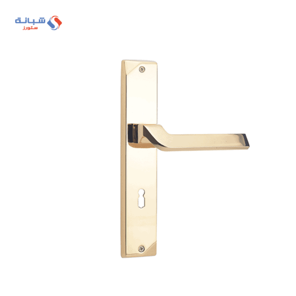 Shabana Stores Doganlar Turkey Door Handle Set 2 Pcs Gold 177