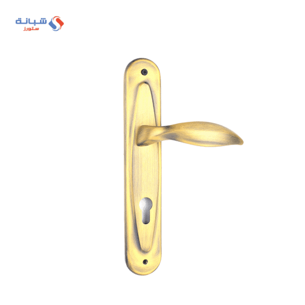 Shabana Stores Doganlar Turkey Door Handle Set 2 Pcs Gold