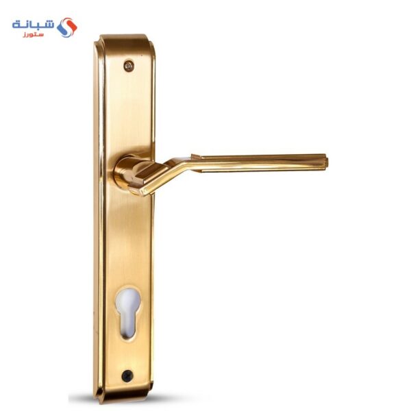 Door Handle Set Asus Doganlar Turkish – Golden Matt