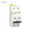 Schneider Double Switch Miniature Circuit Breaker 32 Amp-(6k)white