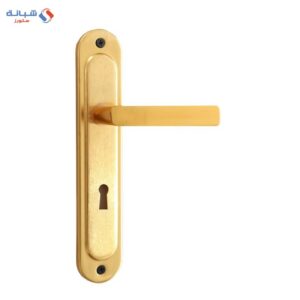 Comex Queen Room Door Handle Set - Gold