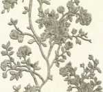 Roberto Cavalli 12004 Italian Wallpaper 7 Square Meters