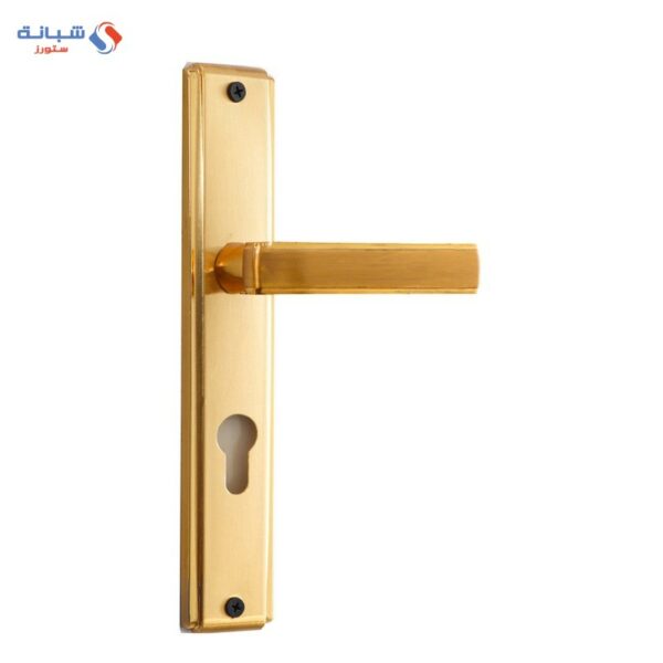 Comex Genoa Cylinder Door Handle Set - Golden