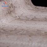 زووتوبيا 1 54207 ورق حائط كورى 15 متر مربع