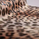 زووتوبيا 2 54212 ورق حائط كورى 15 متر مربع