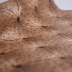 Zootopia 54215 3 Korean Wallpaper 15 Square Meters