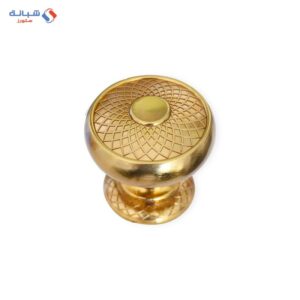 Apartment Door Handle - Gold