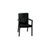 Rubex Dining Chair