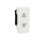 شنايدر بريزة على النظام أوروبي أمريكي 16 امبير    ابيض