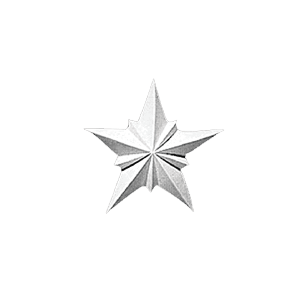 صرة سقف فيوتك كود Cc02 مقاس 23 سم