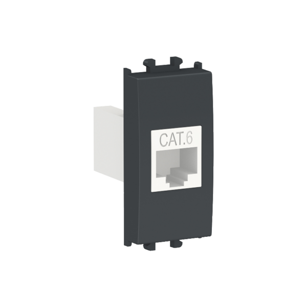 Schneider Data Socket Cat 6 Black