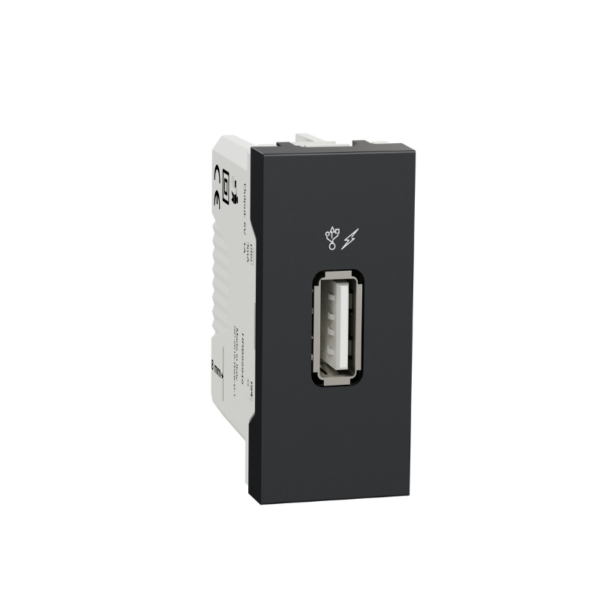 شنايدر بريزة Usb Type A -اسود