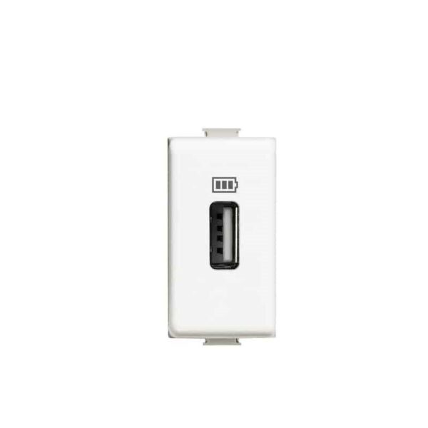 Shabana Stores Bticino Matix Electric Data Usb Socket White 1 New